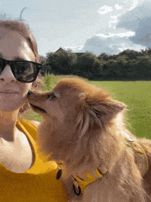 Dog Kiss Pomeranian GIF - Dog Kiss Pomeranian Pomeranian Kiss GIFs