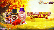 a game called the dog house royal hunt is being played by pragmatic play