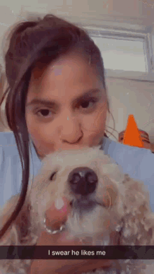 a woman kisses a small dog on the nose and says " i swear he likes me " at the bottom