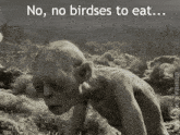 No Birdses To Eat Gollum GIF - No Birdses To Eat Birdses Eat GIFs