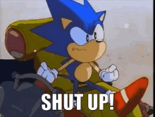 Shut Up Sonic The Hedgehog GIF - Shut Up Sonic The Hedgehog Anger GIFs