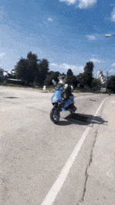 Dogs Scooter GIF - Dogs Scooter Driving GIFs