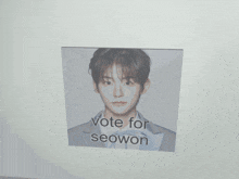 Seowon Vote Seowon GIF - Seowon Vote Seowon Vote For Seowon GIFs
