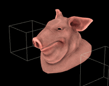 Pig Pig Squish GIF - Pig Pig Squish Cubes GIFs