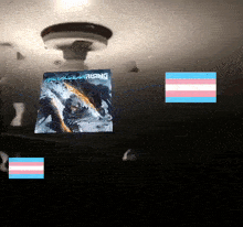 a transgender flag is next to a picture of a man holding a sword