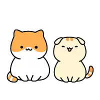 a cat and a dog are sitting next to each other on a white background .