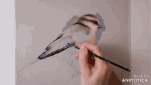 Daria Callie Drawing Gifs GIF - Daria Callie Drawing Gifs Art Gifs GIFs
