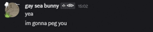 a screenshot of a text conversation between gay sea bunny and yea im gonna peg you
