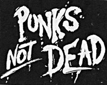 a black and white logo for punks not dead