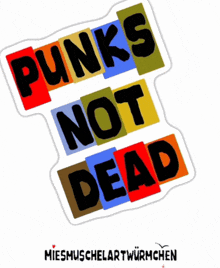 Punkrock Punkrocker GIF - Punkrock Punkrocker Streetpunk GIFs