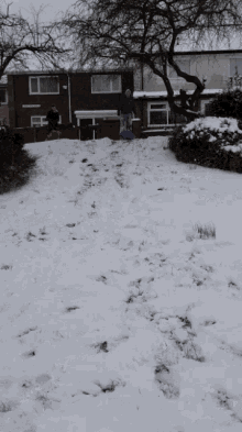 Snowday Sled GIF - Snowday Sled GIFs