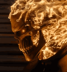 Ghost Ghostrider GIF