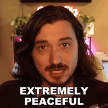 Extremely Peaceful Aaron Brown GIF - Extremely Peaceful Aaron Brown Bionicpig GIFs