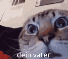 Your Father Dein Vater GIF - Your Father Dein Vater GIFs