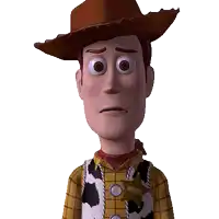 woody from toy story is wearing a sheriff badge