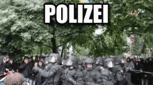 Party Polizei - Polizei GIF