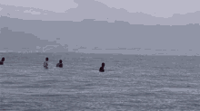 Say "Hi" To Some Whale Friends. GIF - Whale Ocean Sea GIFs
