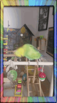 Bird Happy GIF