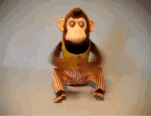 Chunky Monkey Not Listening GIF
