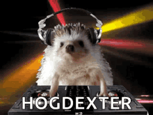 Hogdexter Hedgehog GIF - Hogdexter Hedgehog Cybrelon GIFs
