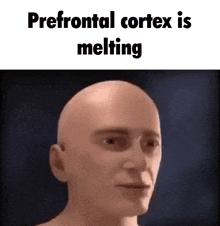 a bald man is looking at the camera with the words `` prefrontal cortex is melting '' written above him .