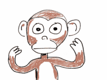 Opps Monkey GIF - Opps Monkey Blind GIFs