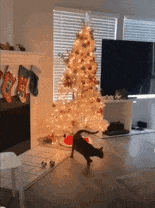 a cat is jumping in front of a christmas tree in a living room