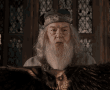 D Umbledore Harry Potter GIF - D Umbledore Harry Potter Surprised GIFs