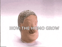 a statue of a man 's head with the words `` how the homo grow '' written above it .