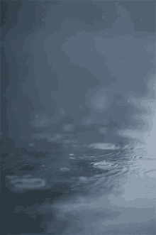 Sprinkling Rain GIF