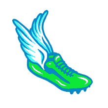 Green Shoes Wings GIF - Green Shoes Wings Flying Shoes GIFs