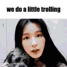 Miyeon We Do A Little Trolling GIF - Miyeon We Do A Little Trolling Miyeon Dog GIFs