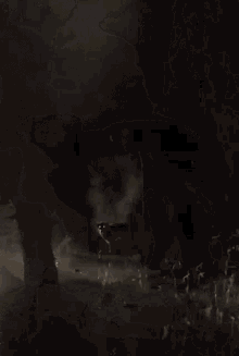 Black Dog GIF - Black Dog Demon GIFs