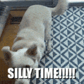 Silly Time Sillytime GIF - Silly Time Sillytime Dog GIFs