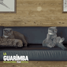 Cat Animals GIF - Cat Animals Cats GIFs