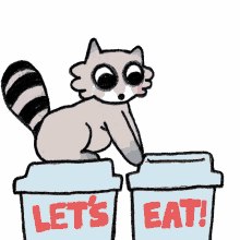 everyday canadian raccoon lets eat hungry google