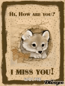 hi how are you i miss you dog wolf sparkle