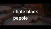 a minecraft character says that he hates black people