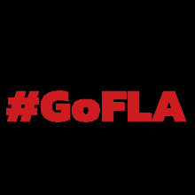 Flaesports Gofla GIF - Flaesports Gofla Flamengoesports GIFs