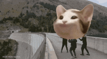 a group of people standing on a bridge with a cat 's head on their heads