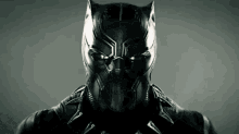 Real Panther Reveal GIF - Real Panther Reveal GIFs