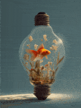 a goldfish is swimming in a light bulb with flowers