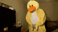 Dyre Ducky GIF - Dyre Ducky Duck GIFs