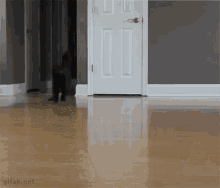 Cat Slide GIF - Cat Slide Floor GIFs