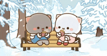 two cats are sitting on a bench in the snow eating cookies .