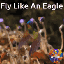 Fly Like An Eagle Nft Sizzle GIF - Fly Like An Eagle Nft Sizzle Sizzle GIFs