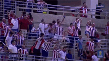 a crowd of people in a stadium with the words live fc on the bottom