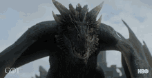 Game Of Thrones Got GIF - Game Of Thrones Got Dracarys GIFs