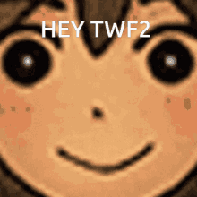 a close up of a person 's face with the words hey twf2 on it