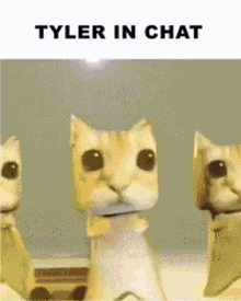 Tylerinchat Tylersolos GIF - Tylerinchat Tyler In GIFs
